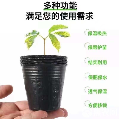 黑色营养袋 现代化育苗的理想选择